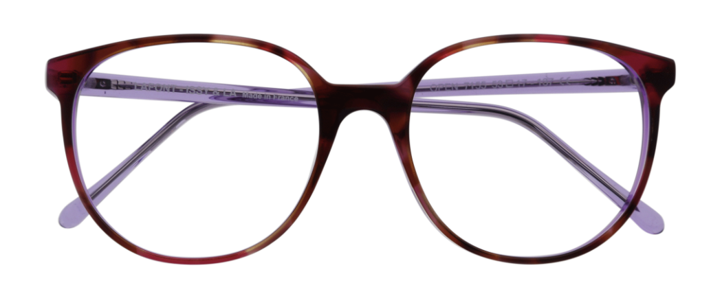 Tortoise/purple
