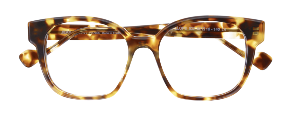 tortoise 532
