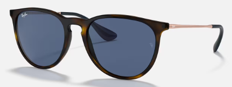 Tortoise/blue