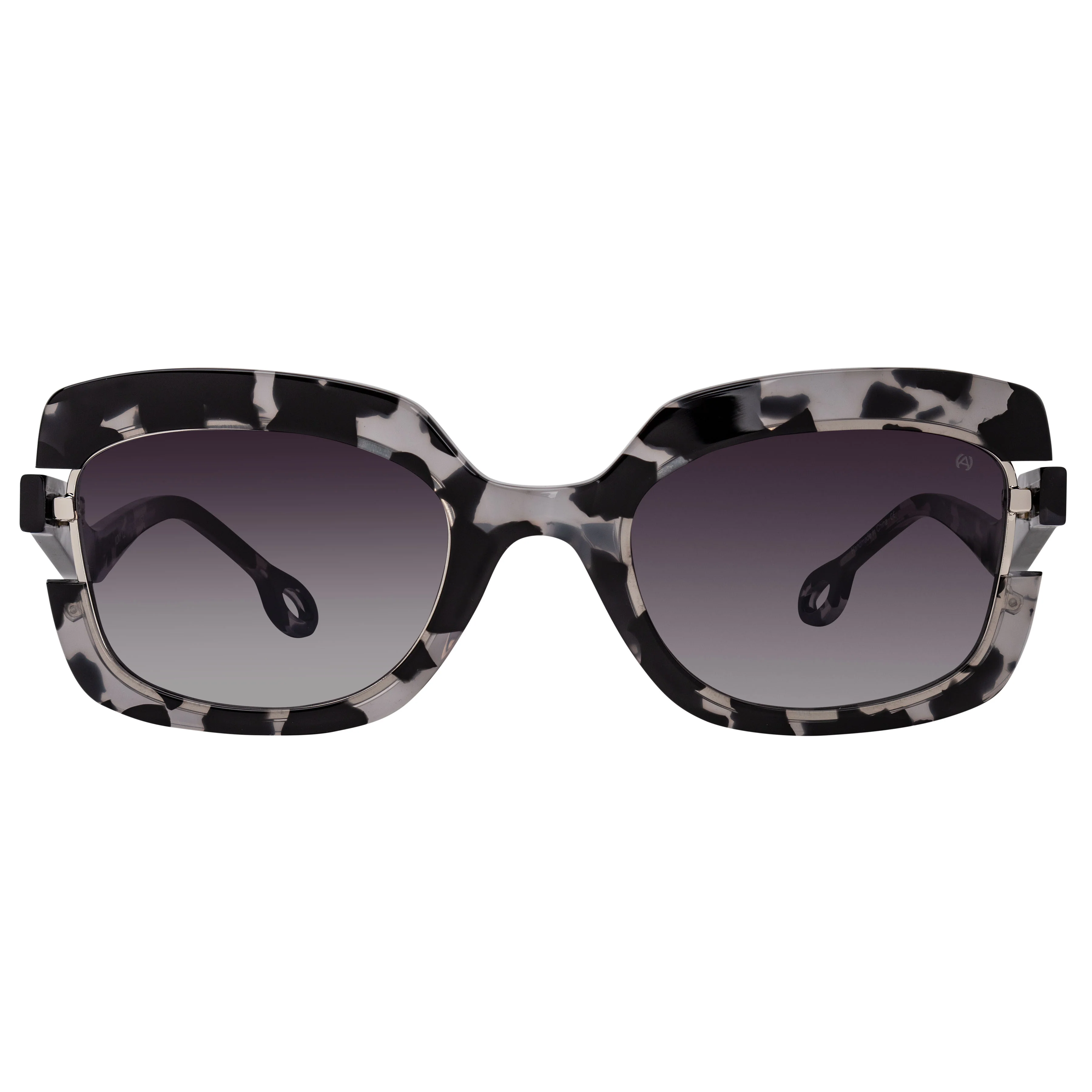 BLACK TORTOISE