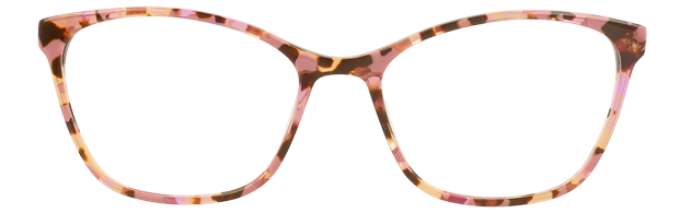 Ambitious / Rose Tortoise