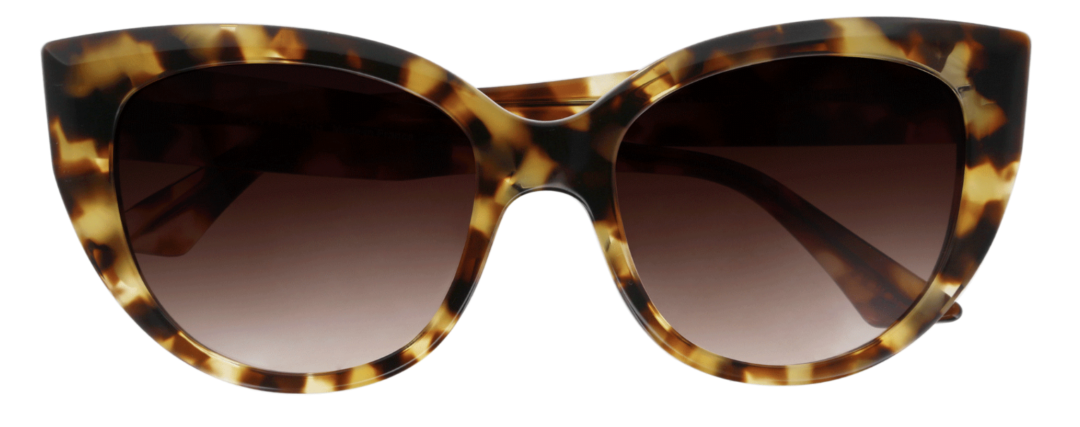 Tortoise Shell