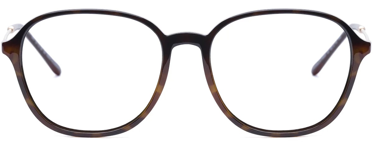Havana Black Shiny