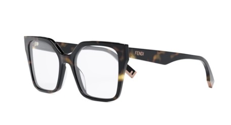 052 TORTOISE