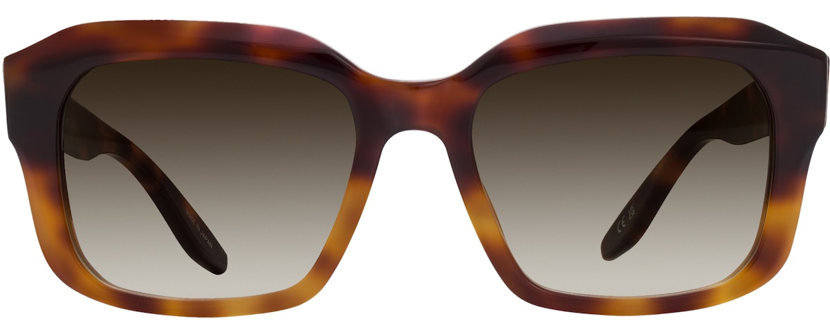 TOO-TORTOISE OMBRE