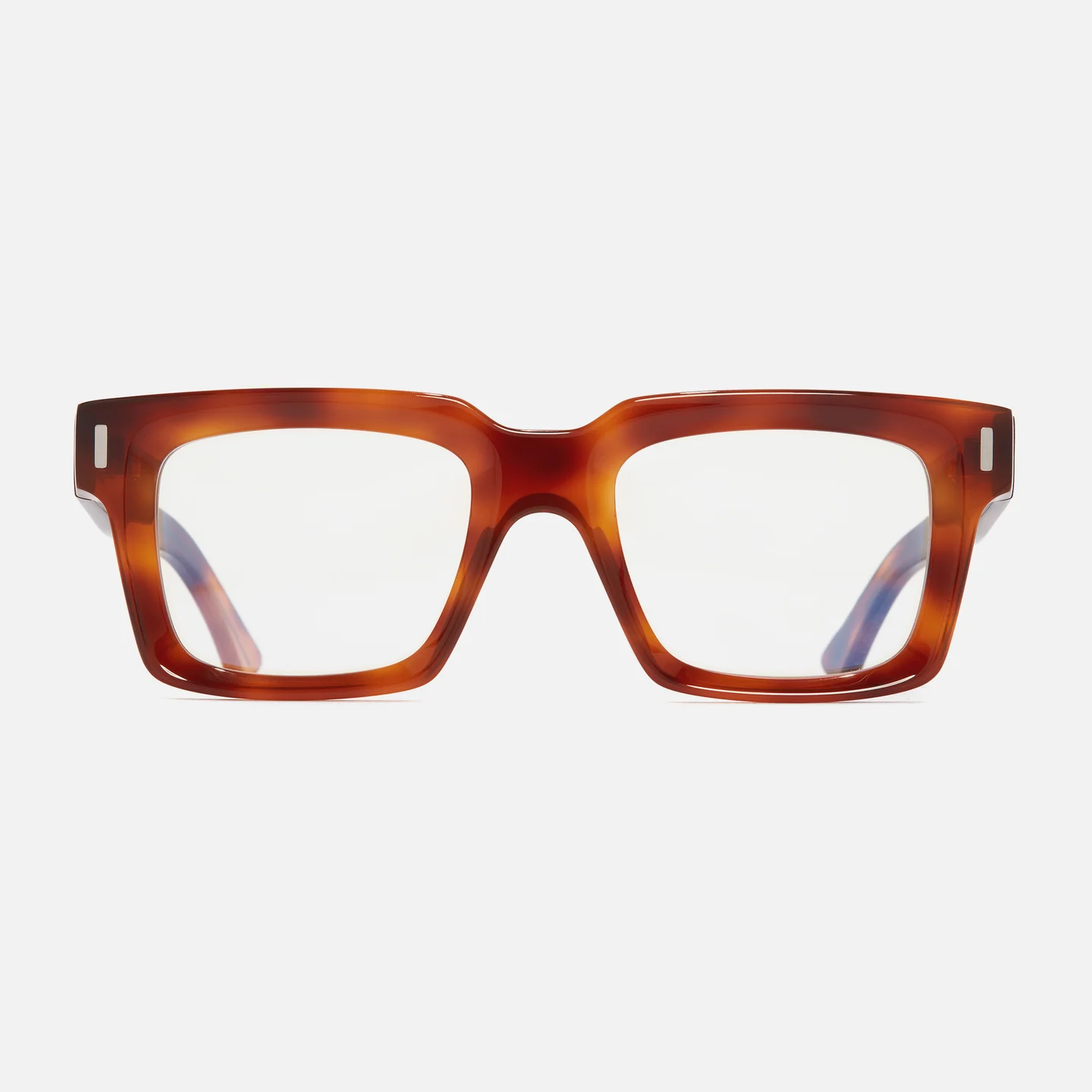 010 HONEY TURTLE