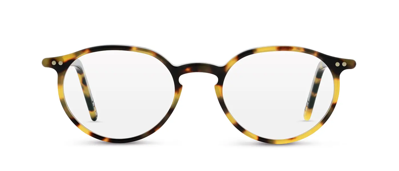 16 TOYKO TORTOISE