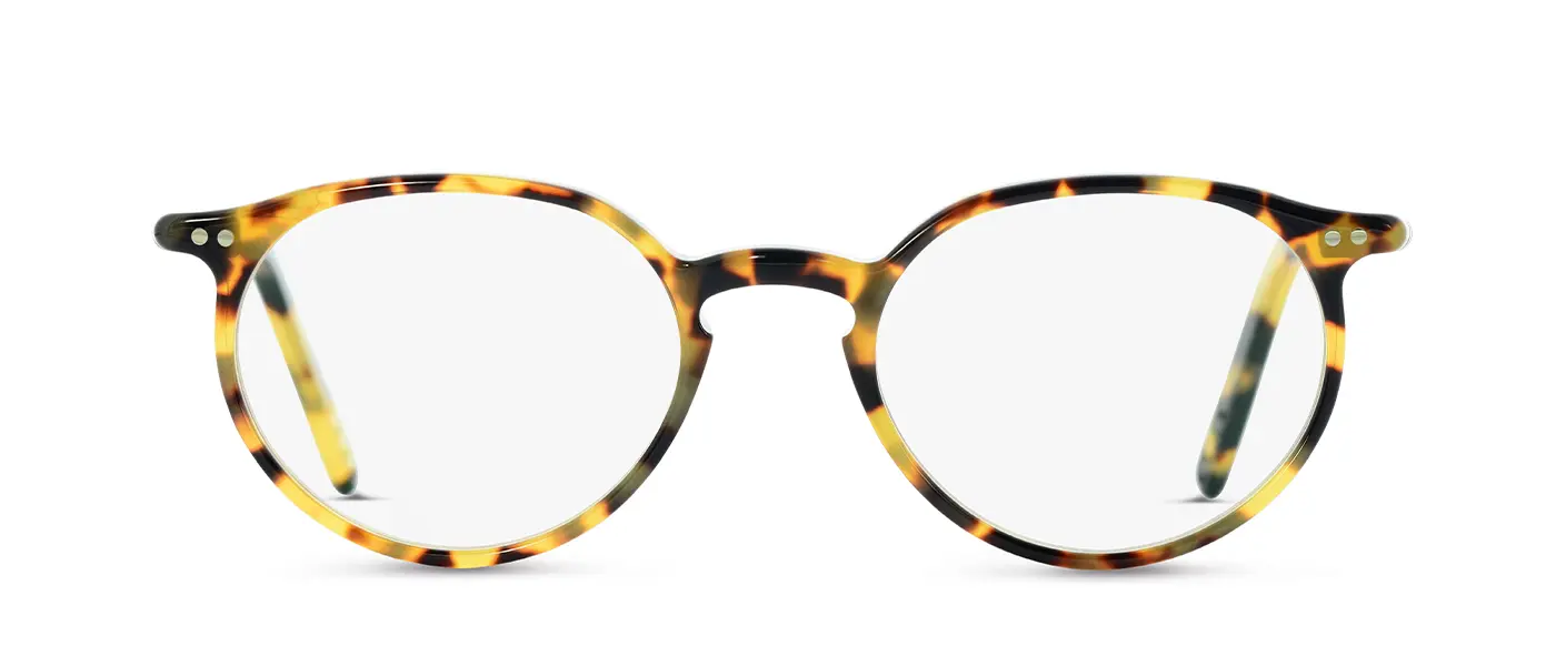 16 TOKYO TORTOISE