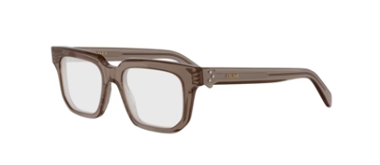 048 SHINY BROWN