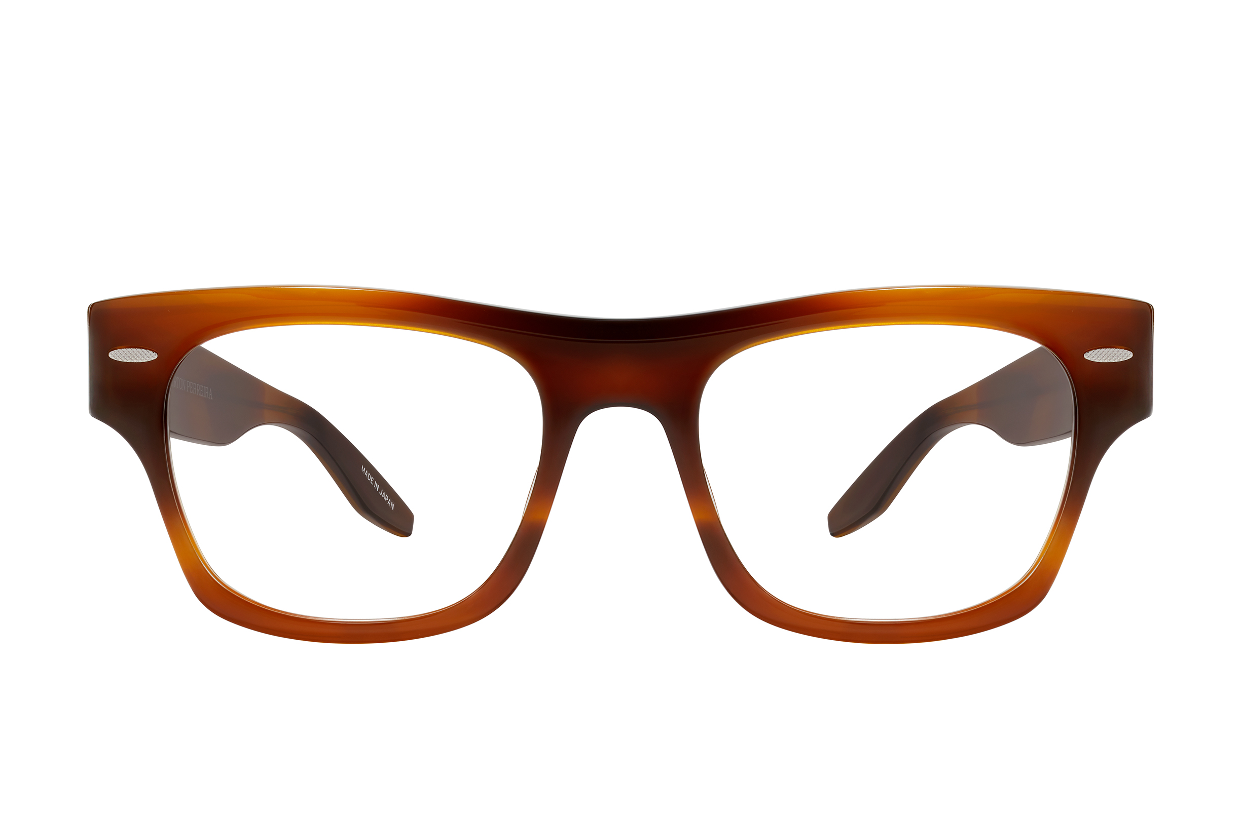 MOT-MONARCH TORTOISE