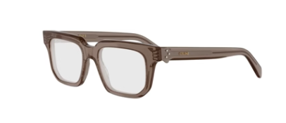 048 SHINY BROWN
