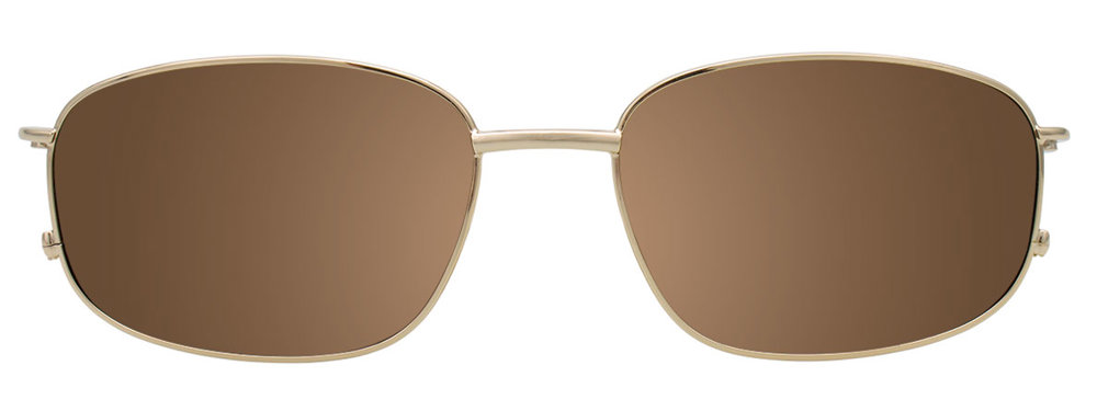 CT288 / Shiny Gold
