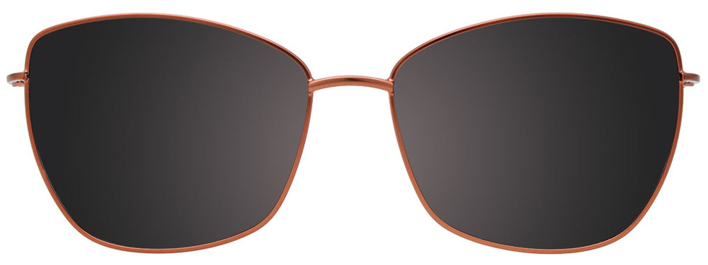 C5510 / Bronze & Silver