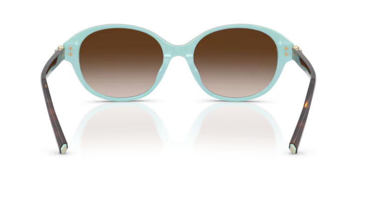 TF4263-D / Havana on tiffany blue
