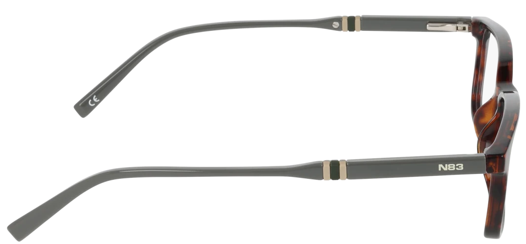 N8202 / DARK TORTOISE