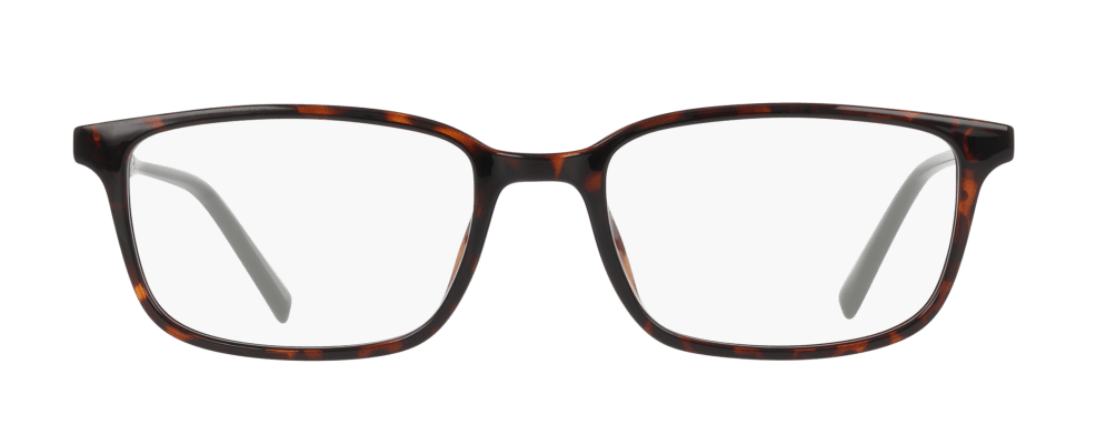 N8202 / DARK TORTOISE