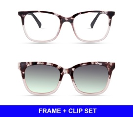 PINK TORTOISE GRADIENT - SET