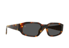 Scout tortoise