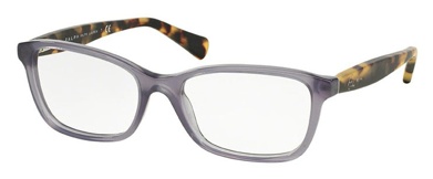 Transparent Violet/Havana