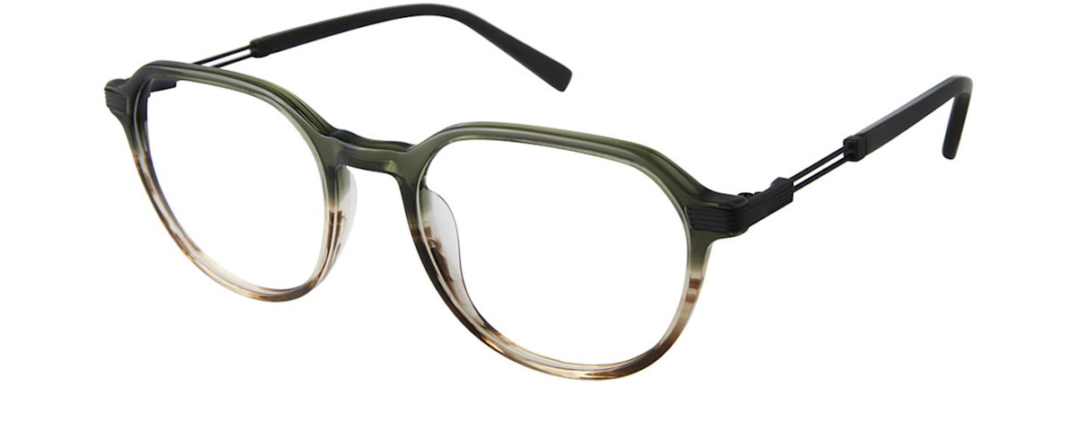 Green Tortoise