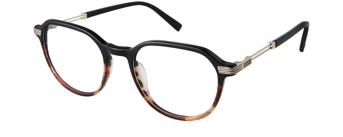 Black Tortoise