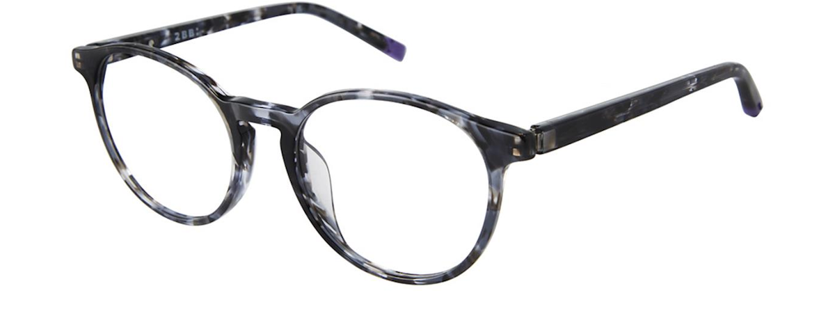 Black Tortoise