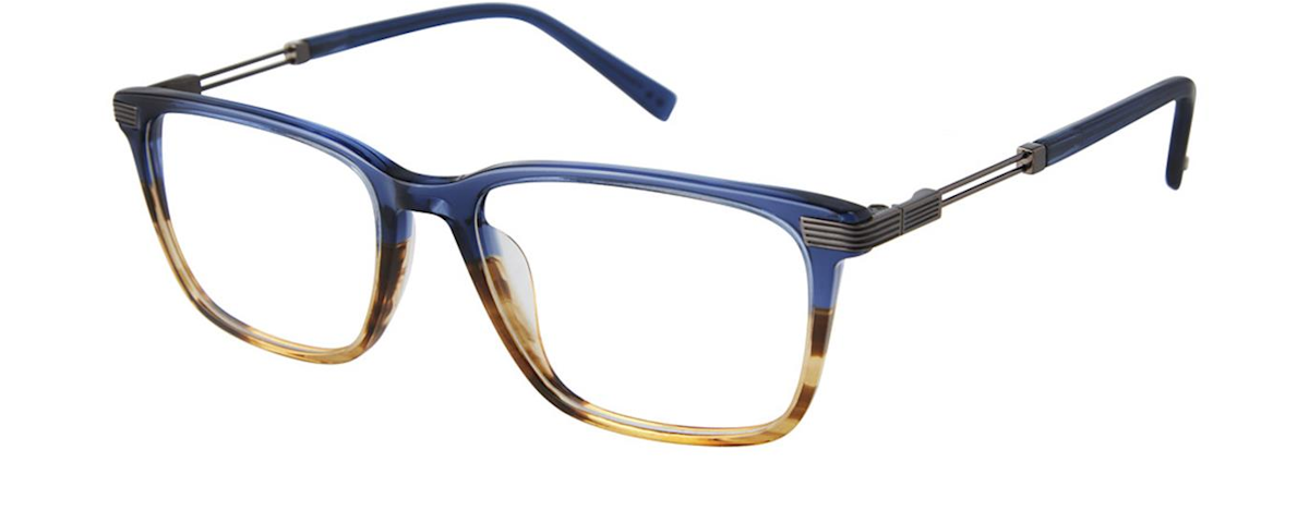 Blue Tortoise