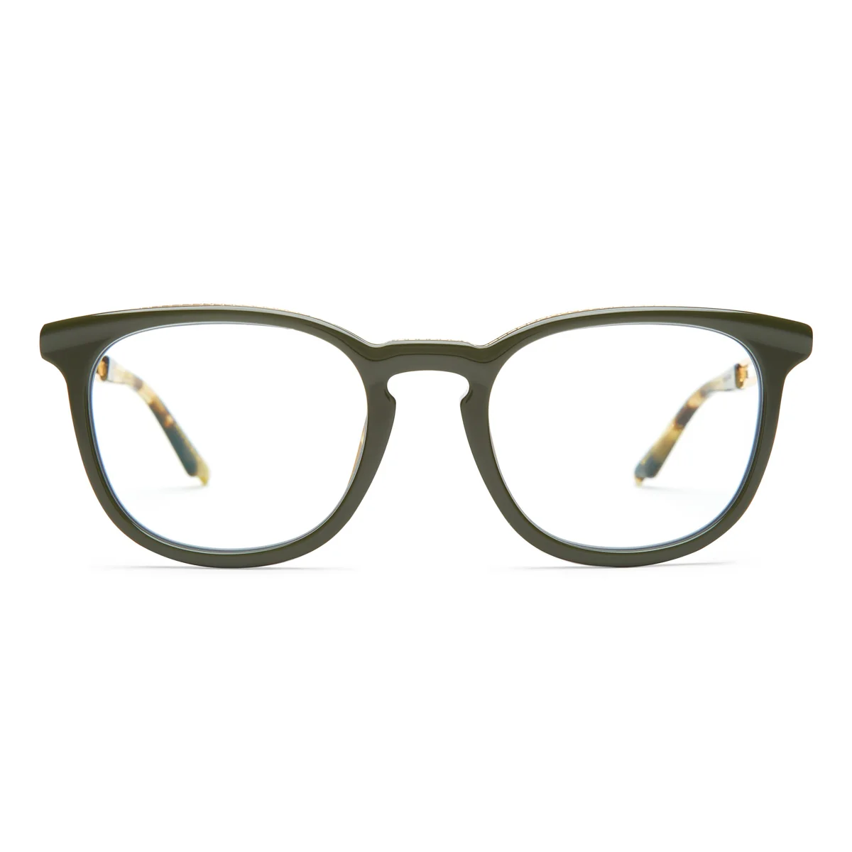 Olive Tortoise