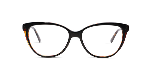 Black & Tortoise