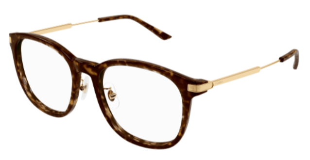 CT0454O/ HAVANA-GOLD/ 54/18/145