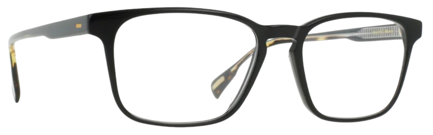 200M241ALT    CRYSTAL BLACK COSMOS TORTOISE/CLEAR  ALTIN_CRYSTAL-BLACK-COSMOS-TORTOISE-CLEAR