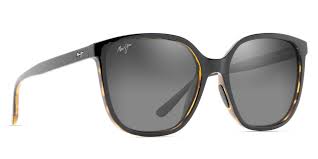 Black Tortoise