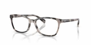 Tokyo Tortoise