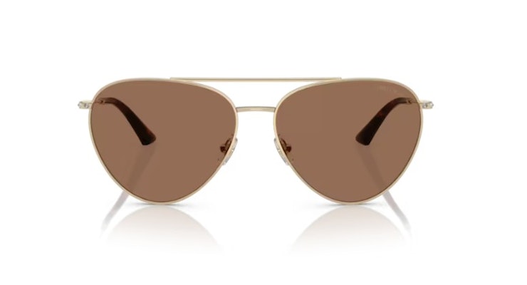 JC4002B / PALE GOLD / DARK BROWN