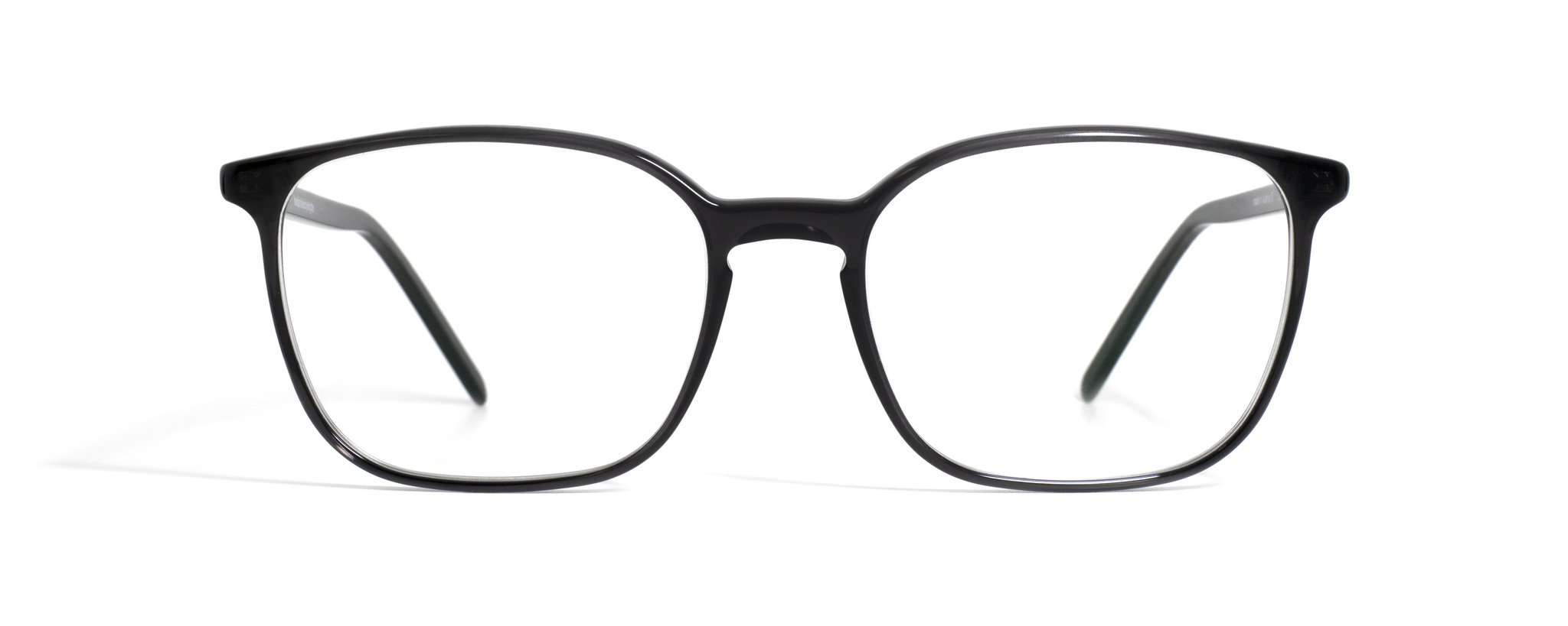 Seewer/ DBT/ 53/17/148