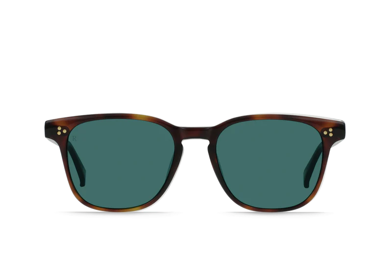 Kola Tortoise / Pacifica