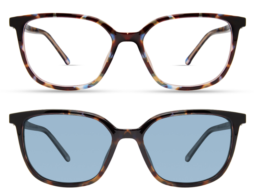 MULTI COLOR TORTOISE