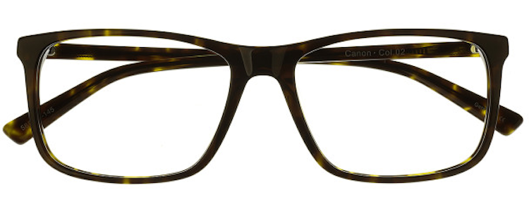 02 Dark Tortoise