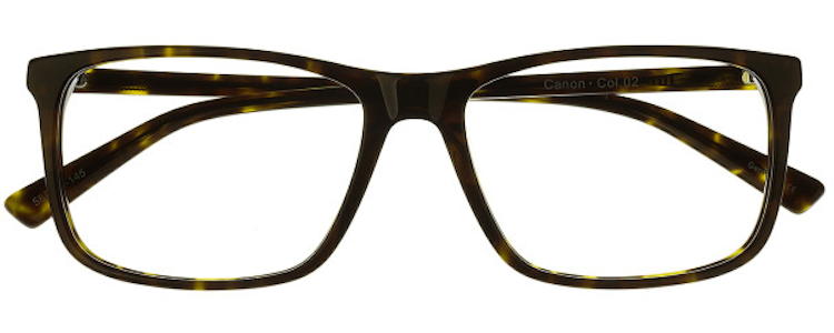 02 Dark Tortoise
