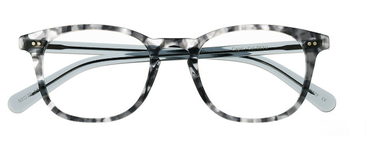 563u Gray Tortoise