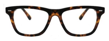 Tortoise (02)