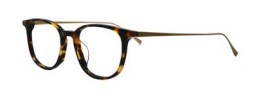 Tortoise Gold (02)
