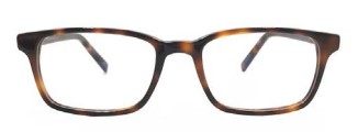 Tortoise (02)