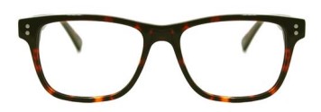 Tortoise (02)