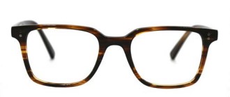Tortoise (02)
