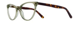 Sage Tortoise (06)