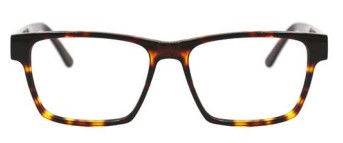 Light Tortoise (04)