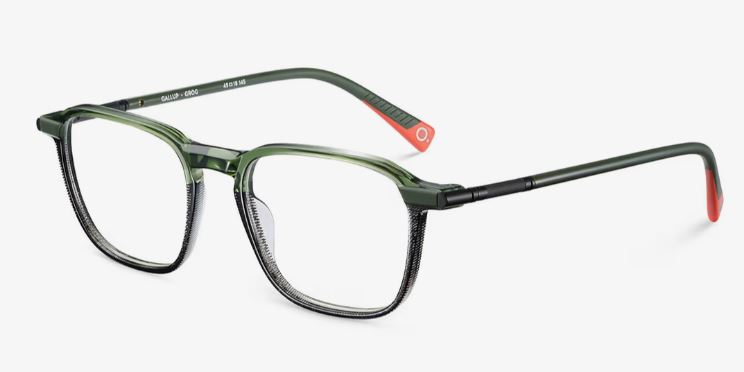 Etnia Barcelona Gallup