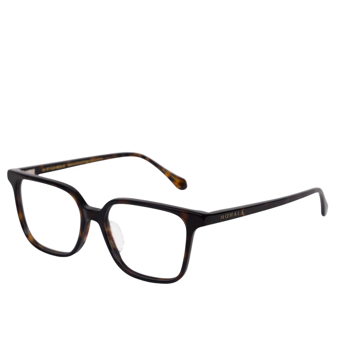 KUKUI TORTOISE