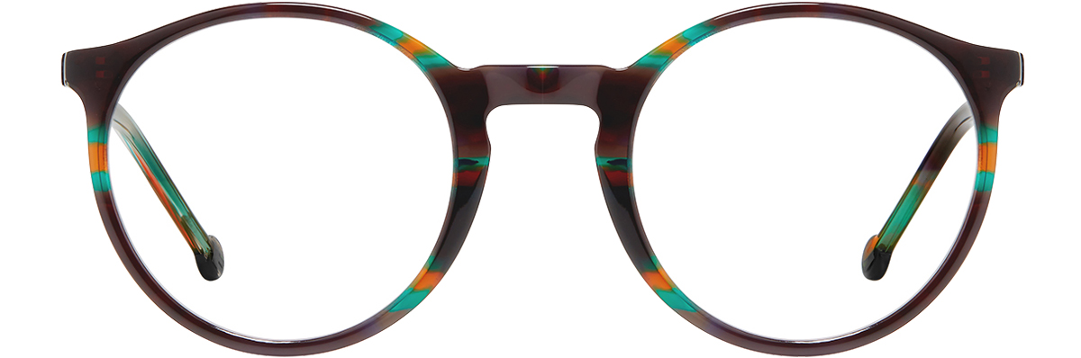 Nara Tortoise